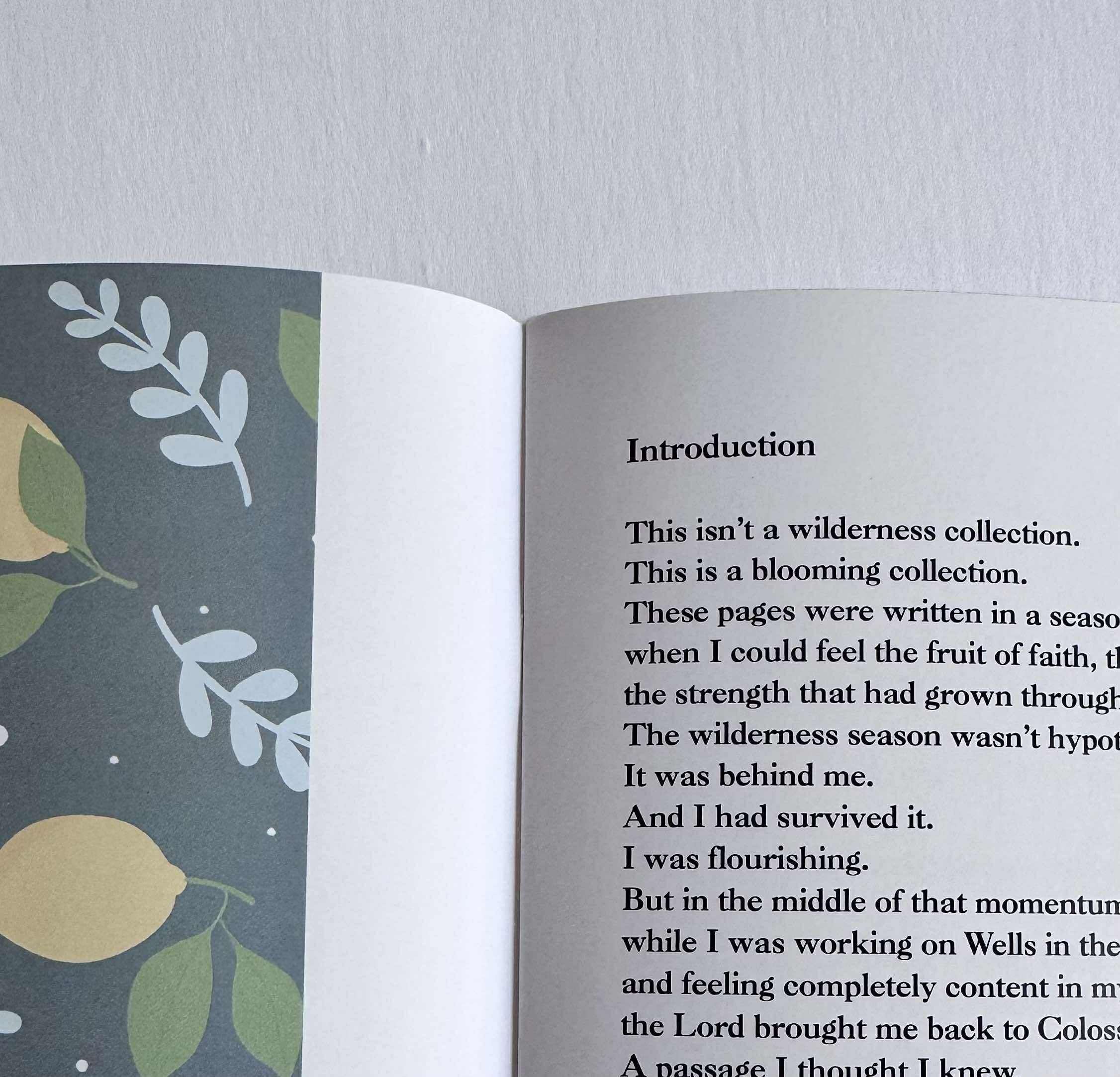 The Traveler: When Verde Bloomed
